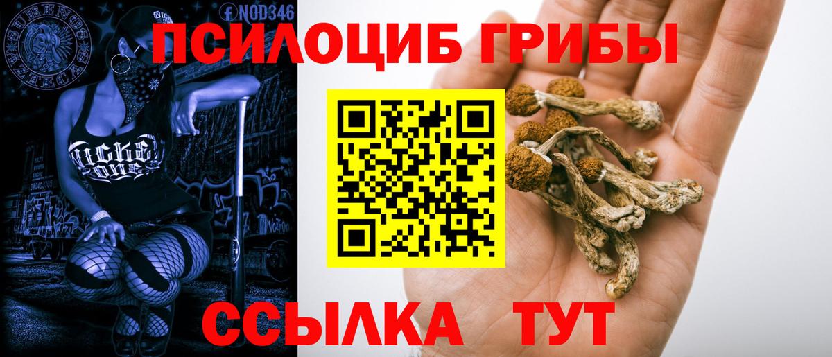 Чайковский  Галлюциногенные грибы мухоморы  Вход с VPN 