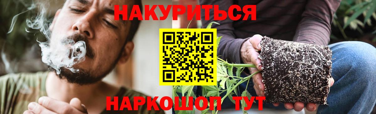 Бошки марихуана LSD WEED  Конопля сатива  Каннабис гибрид  Вход с VPN  Чайковский 